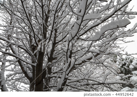 Beautiful winter day is in the city. 44952642