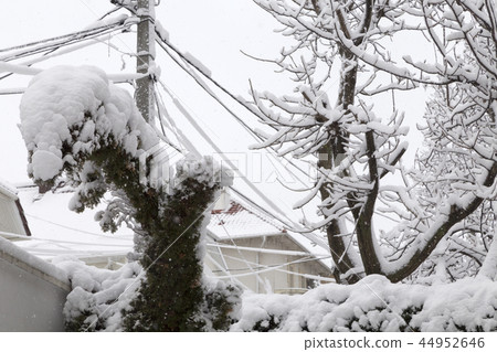 Beautiful winter day is in the city. 44952646