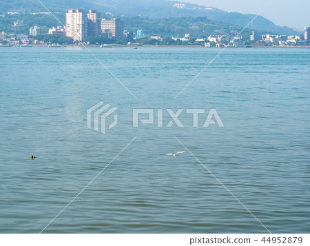 水岸 水岸 44952879