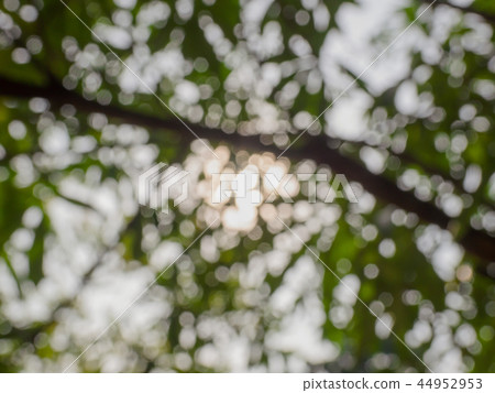 green bokeh background.. green bokeh background.. 44952953