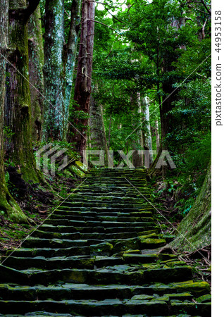 Kumano Kodo 44953158