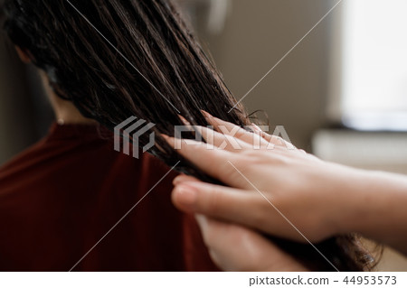 Hair care by stylist in beauty salon Hair care by stylist in beauty salon 44953573