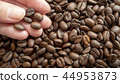Beans and hands 44953873