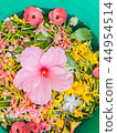 Colorful Flower petals floating in the bowl 44954514