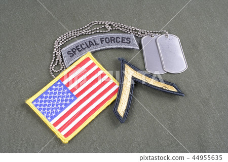 US ARMY Private rank patch, special forces tab 44955635