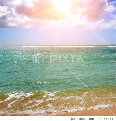 Sea landscape and the sunrise. Beach. Sri Lanka. 44955853