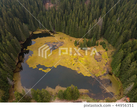 Aerial view Smolyan lakes in Bulgaria  44956351