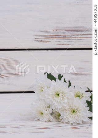 Delicate chrysanthemum flowers on wooden background. Delicate chrysanthemum flowers on wooden background. 44957019
