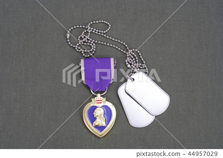 Purple Heart award on green uniform with dog tags 44957029