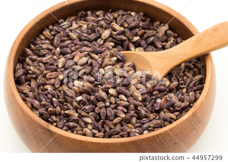 Purple Barley: Purple Barley 44957299