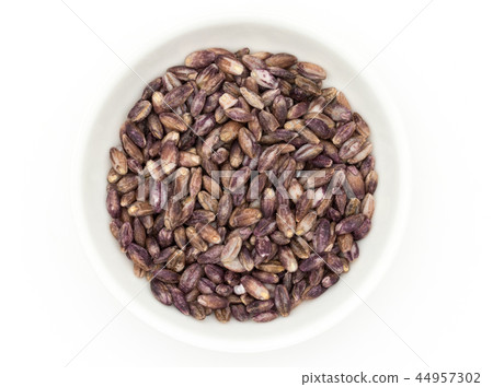 Purple Barley: Purple Barley 44957302