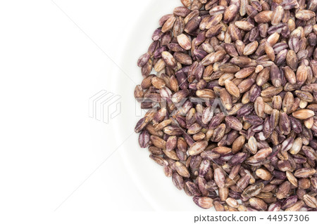 Purple Barley: Purple Barley 44957306