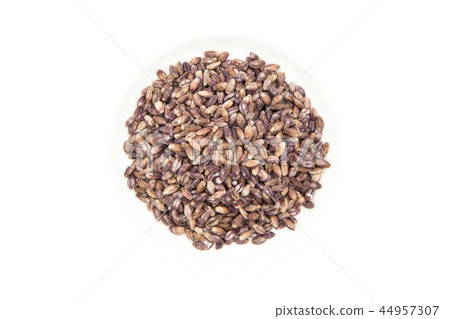 Purple Barley: Purple Barley 44957307