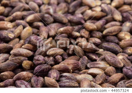 Purple Barley: Purple Barley 44957324