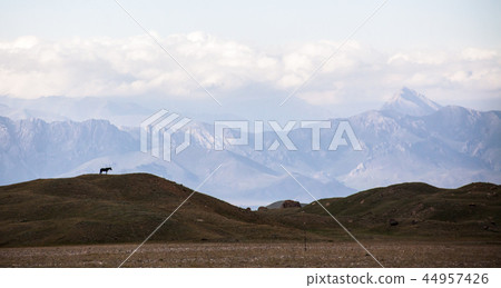 Horse and mountains at Achik-Tash Horse and mountains at Achik-Tash 44957426