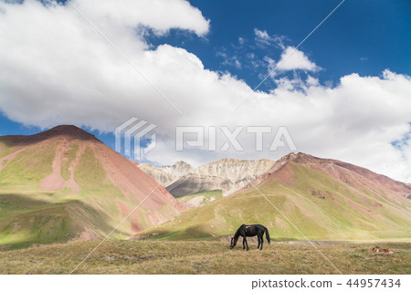 Beautyful landscape Beautyful landscape 44957434