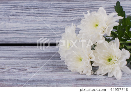 Bunch of white chrysanthemums on wooden background. 44957748