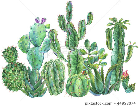 Exotic natural vintage watercolor cactus greeting card. 44958074