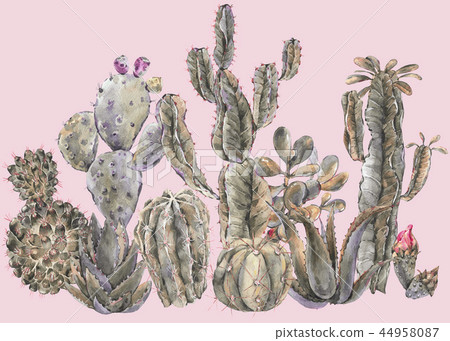 Exotic natural vintage watercolor cactus greeting card. Exotic natural vintage watercolor cactus greeting card. 44958087