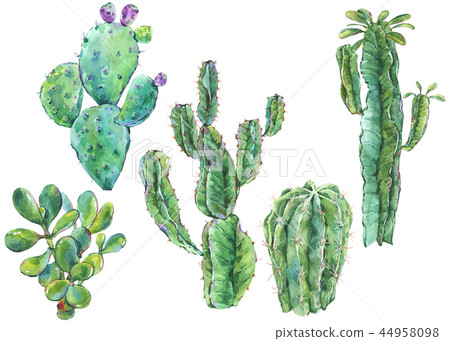 Set of watercolor cactus, succulent, flowers. Natural illustration 44958098