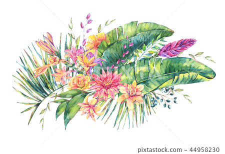 Exotic natural vintage watercolor blooming orchid flowers, banan Exotic natural vintage watercolor blooming orchid flowers, banan 44958230