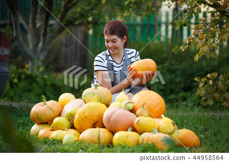 Image of smiling gardener woman in gray apron among pumpkin harvest on green lawn 44958564