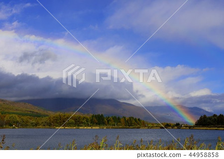 Rainbow Rainbow 44958858