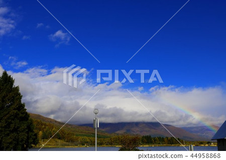 Rainbow Rainbow 44958868