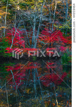 Fall of the cloud pool pond Fall of the cloud pool pond 44959464