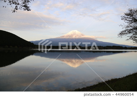從Tanuki湖[富士宮市]富士山 44960054