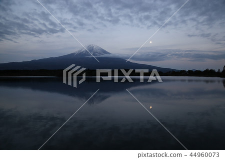 Mount Fuji from Lake Tanuki [Fujinomiya City] 44960073