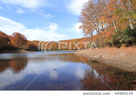 Chaya pond of autumn leaves of Nagora plateau 44960134