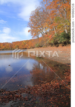Nagora高原秋葉Chaya池塘 44960216