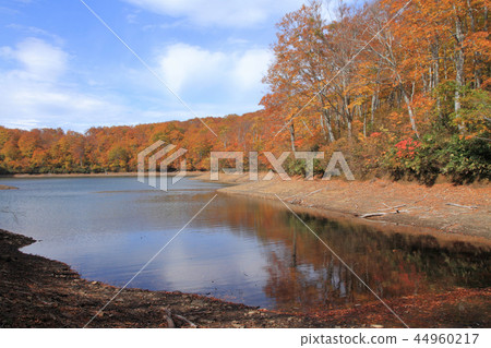 Nagora高原秋葉Chaya池塘 44960217