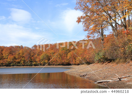 Nagora高原秋葉Chaya池塘 44960218