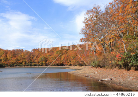Nagora高原秋葉Chaya池塘 44960219