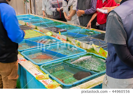 靜岡縣沼津魚市場海鮮市場 靜岡縣沼津魚市場海鮮市場 44960556