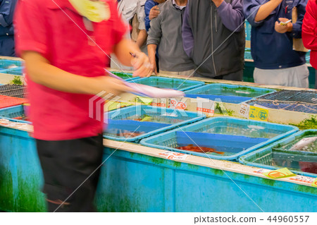 靜岡縣沼津魚市場海鮮市場 靜岡縣沼津魚市場海鮮市場 44960557