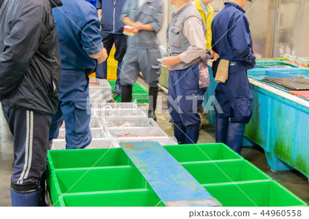 靜岡縣沼津魚市場海鮮市場 靜岡縣沼津魚市場海鮮市場 44960558