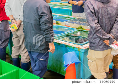 靜岡縣沼津魚市場海鮮市場 靜岡縣沼津魚市場海鮮市場 44960559