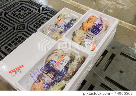 靜岡縣沼津魚市場海鮮市場 44960562