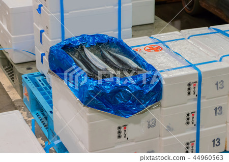 靜岡縣沼津魚市場海鮮市場 靜岡縣沼津魚市場海鮮市場 44960563