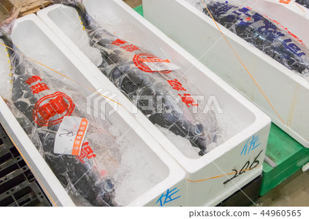 靜岡縣沼津魚市場海鮮市場 靜岡縣沼津魚市場海鮮市場 44960565