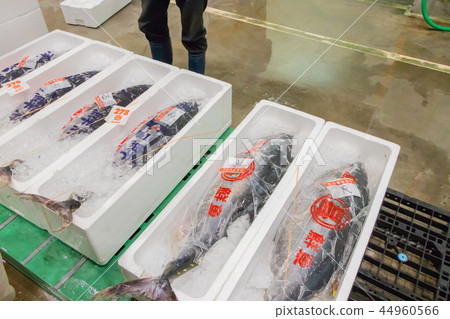 靜岡縣沼津魚市場海鮮市場 靜岡縣沼津魚市場海鮮市場 44960566