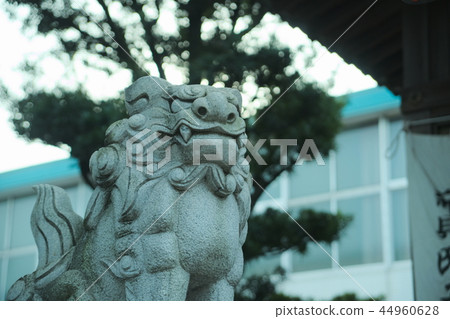 Shinkai Tenmasha 44960628