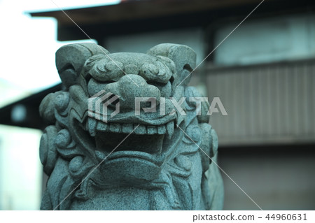 Shinkai Tenmasha 44960631