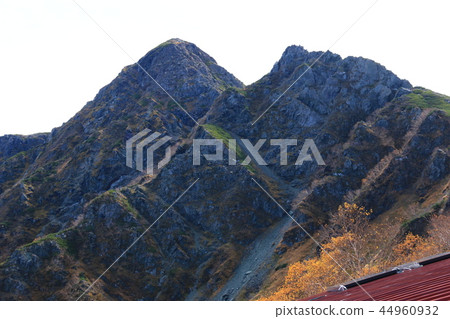 A way to the summit of the Shiokami-dake in the Southern Alps 44960932