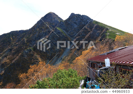 A way to the summit of the Shiokami-dake in the Southern Alps 44960933