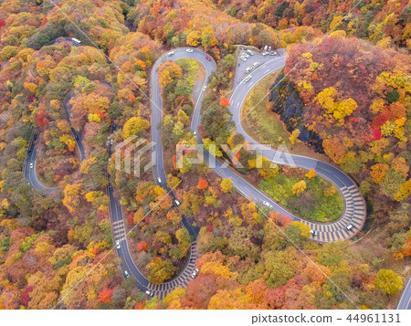 Nikko Iroha slope dyed in the aerial view autumn leaves 44961131