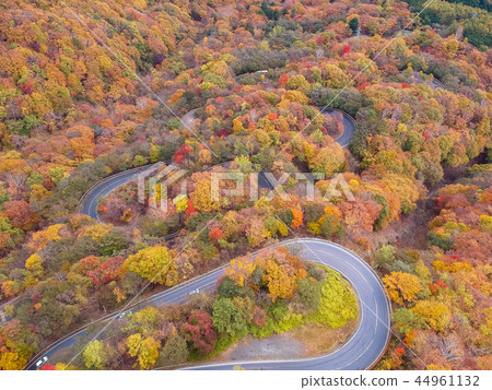 Nikko Iroha slope dyed in the aerial view autumn leaves 44961132